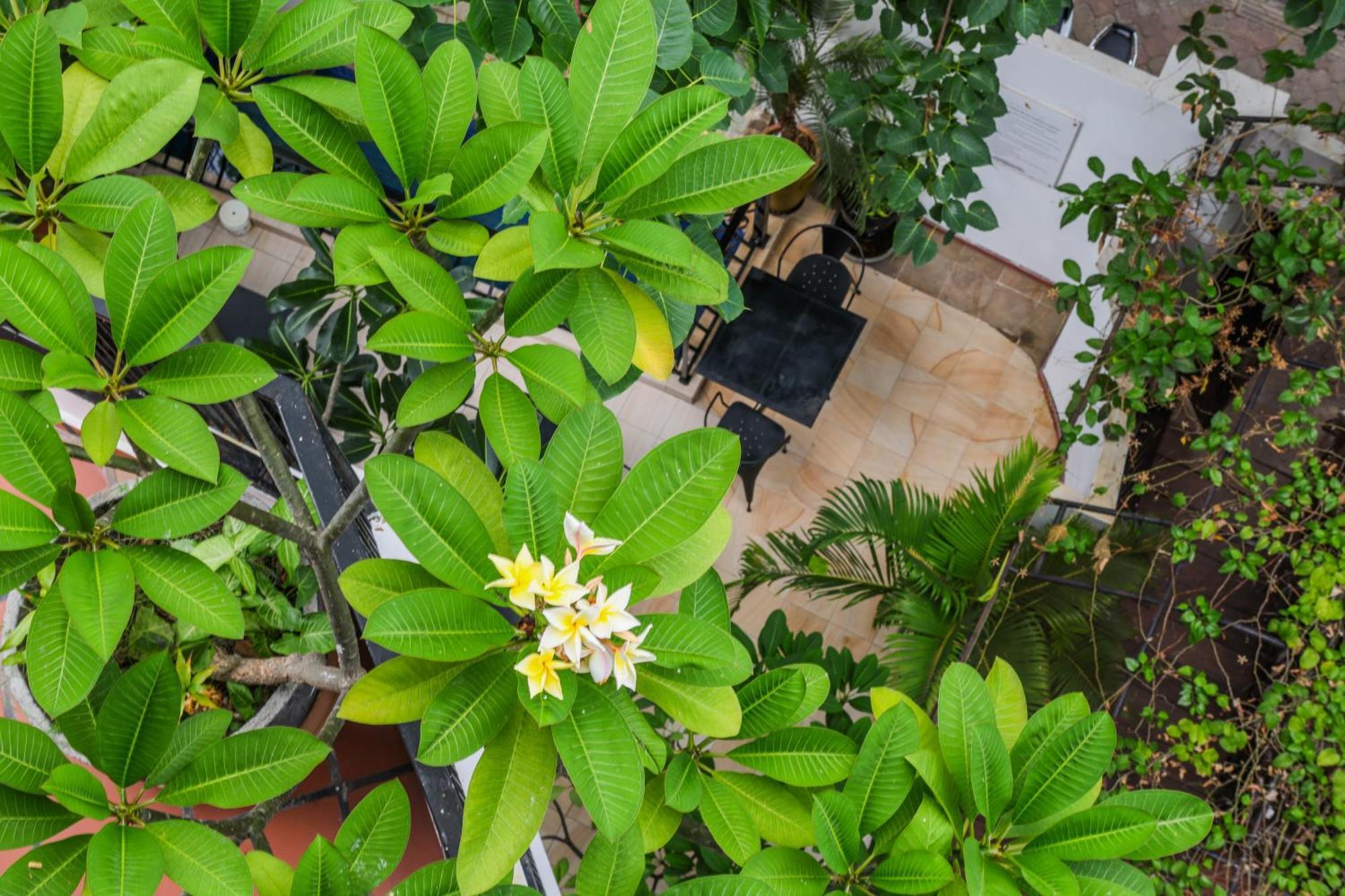 La Rose Suites Phnom Penh Ngoại thất bức ảnh